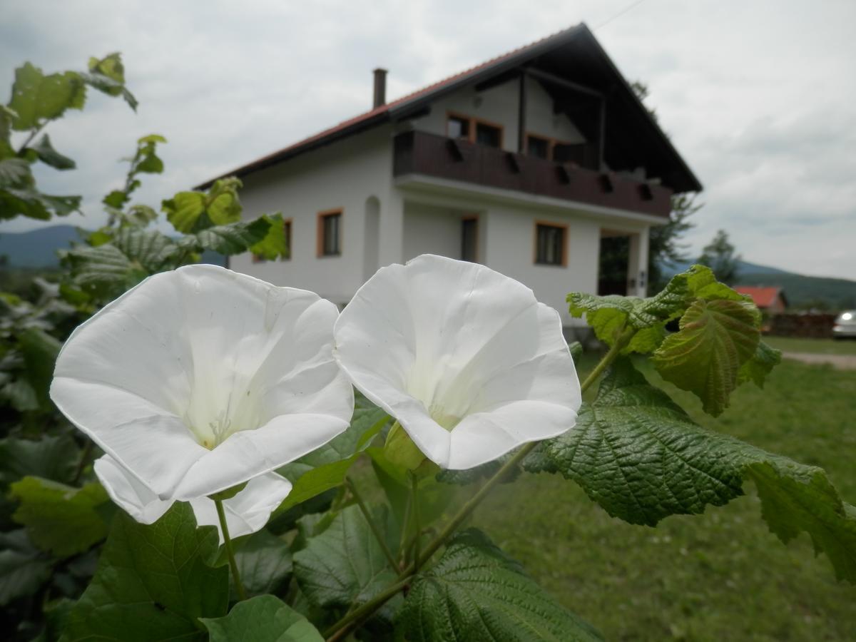 Guesthouse Matija Ириновац Экстерьер фото